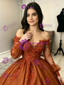 Brown Tulle Long Sleeve Appliques Quinceanera Dress