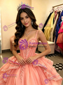 Tulle Straps Lace Appliques Quinceanera Dress