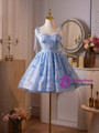 Blue Lace Butterfly Homecoming Dress