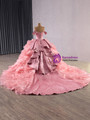 Pink Ball Gown Satin Organza Appliques Prom Dress
