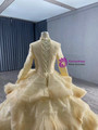 Gold Tulle Sequins Long Sleeve Pleats Tiers Prom Dress