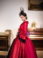 Burgundy Satin Long Sleeve Lace Rococo Vintage Dress