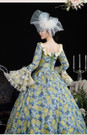 Green Long Sleeve Print Lace Vintage Rococo Dress