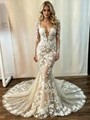 Champagne Tulle Appliques Long Sleeve Wedding Dress