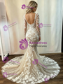 Champagne Tulle Appliques Long Sleeve Wedding Dress