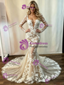 Champagne Tulle Appliques Long Sleeve Wedding Dress