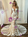 Champagne Tulle Appliques Long Sleeve Wedding Dress