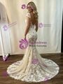 Champagne Mermaid Tulle Lace Wedding Dress