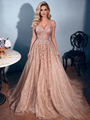 Champagne Lace V-neck Prom Dress