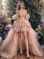 Champagne Hi Lo Tulle Pleats Prom Dress