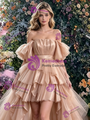 Champagne Hi Lo Tulle Pleats Prom Dress