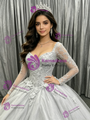 Silver Gray Tulle Long Sleeve Appliques Quinceanera Dress