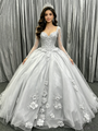 Silver Gray Tulle Long Sleeve Appliques Quinceanera Dress