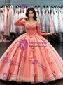 Ball Gown Long Sleeve Appliques Quinceanera Dress