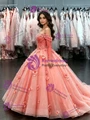 Ball Gown Long Sleeve Appliques Quinceanera Dress