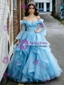 Blue Tulle Long Sleeve Off the shoulder Quinceanera Dress