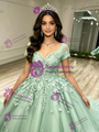 Green Tulle Short Sleeve V-neck Appliques Quinceanera Dress