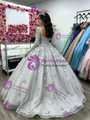 Silver Gray Tulle Long Sleeve Quinceanera Dress