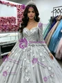Silver Gray Tulle Long Sleeve Quinceanera Dress
