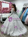 Silver Gray Tulle Long Sleeve Quinceanera Dress