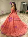 Tulle Long Sleeve Appliques Quinceanera Dress