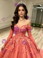 Tulle Long Sleeve Appliques Quinceanera Dress
