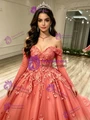 Tulle Long Sleeve Appliques Quinceanera Dress