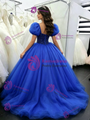 Royal Blue Tulle Puff Sleeve Quinceanera Dress