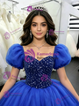 Royal Blue Tulle Puff Sleeve Quinceanera Dress