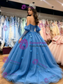 Blue Tulle Long Sleeve Butterfly Quinceanera Dress