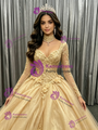 Gold Long Sleeve Appliques Flower Quinceanera Dress