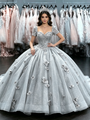 Silver Gray Tulle Short Sleeve Flower Quinceanera Dress
