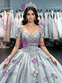 Silver Gray Tulle Short Sleeve Flower Quinceanera Dress