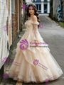 Champagne Tulle Long Sleeve Straps Quinceanera Dress