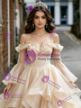 Champagne Tulle Long Sleeve Straps Quinceanera Dress