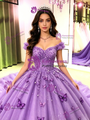 Purple Tulle Off the Shoulder Quinceanera Dress