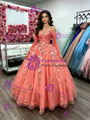 Long Sleeve Tulle Appliques Quinceanera Dress