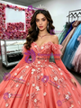 Long Sleeve Tulle Appliques Quinceanera Dress