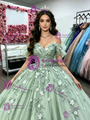 Green Tulle Off the Shoulder Appliques Quinceanera Dress