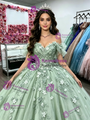 Green Tulle Off the Shoulder Appliques Quinceanera Dress