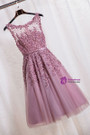 Elegant Scoop Tea Length School Homecoming Dresses Applique