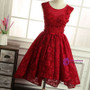 Vintage Burgundy Short Homecoming Dresses Backless  Applique