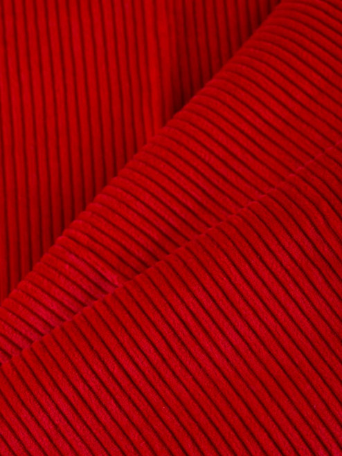 Image of Mens Red Corduroy Pants Fabric