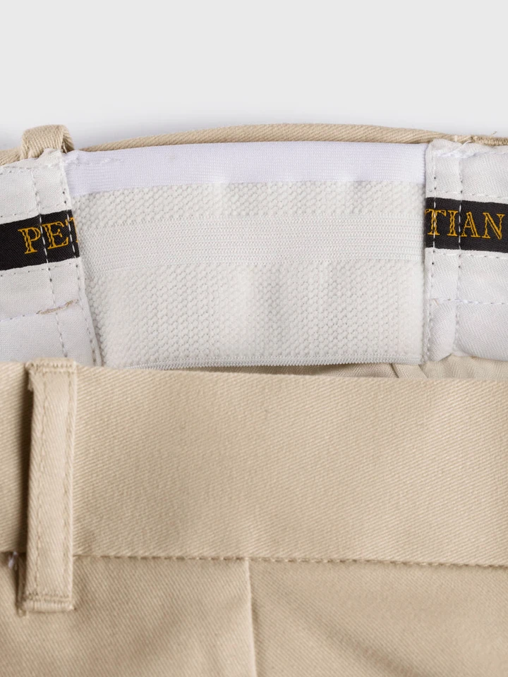 Mens Stone Pleated Chinos Waistband