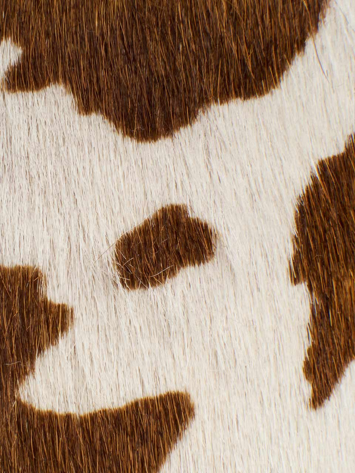 Cow Print Leather Slippers Close-up