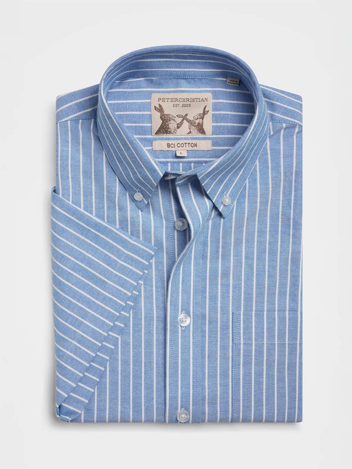 Blue & White Stripe Oxford Shirt