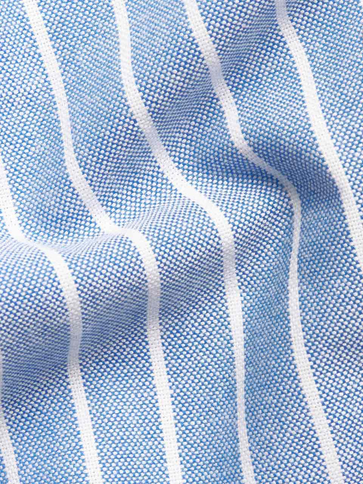 Blue & White Stripe Oxford Shirt