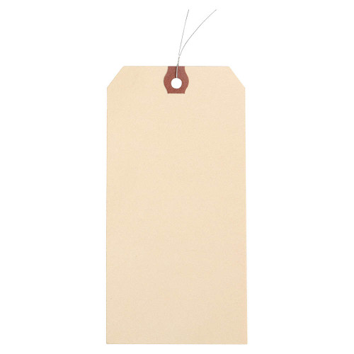 GENERIC Blank Shipping Tag,Paper,Colored,PK1000 4X886