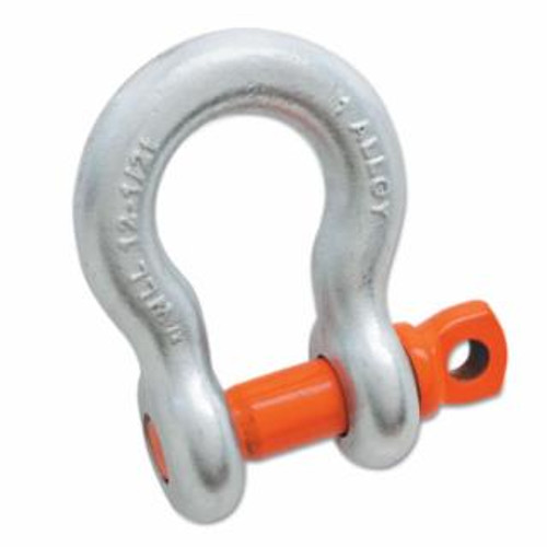 CAMPBELL® ANCHOR SHACKLE - SCREW PIN 7/8" - H/G - ALLOY