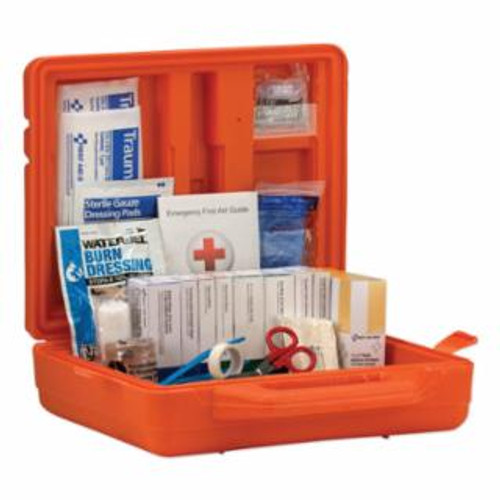 25 Person First Aid Kit, ANSI A+, Plastic Case with Dividers